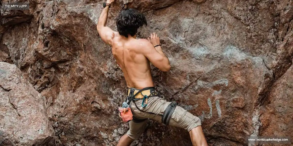 为什么选择我们